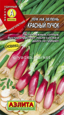 Лук на зелень Красный пучок ---  Мн Аэлита