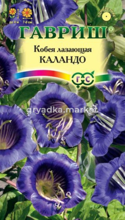 Кобея Лазающая Каландо 5шт. Гавриш