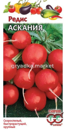 Редис Аскания 2г Ранн (Гавриш)