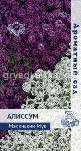 Алиссум Маленький Мук 0,3г.сер.Ароматный сад Поиск