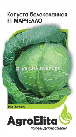 _Капуста б-к Куизор F1 10шт Ранн (АгроЭлита)