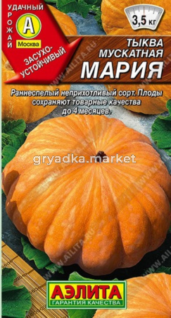 Тыква Мария мускатная 1г Ранн (Аэлита)