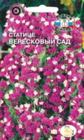 Статица Вересковый Сад густо-розовая, 0,2г (Седек)