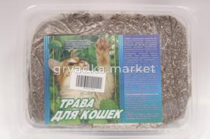 ТРАВА Д-КОШЕК В БОЛЬШОМ КОНТЕЙНЕРЕ 100г-Вестерн