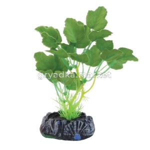 Растение шелковое 