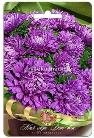 Астра Май Леди Дип Блю 30шт Одн 30см (Биотехника)