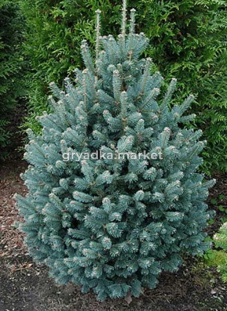 Скриншот 21-04-2026 113048