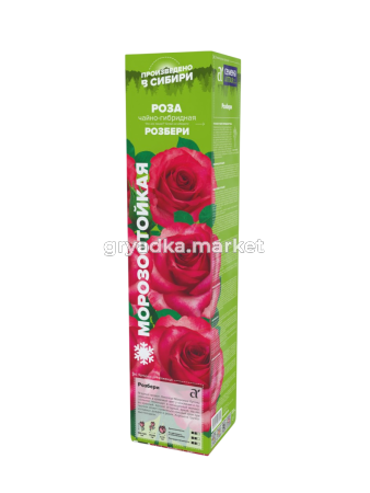Розбери-Photoroom