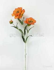 diting_result_91408c38a9d511f194bd023bb474c8fd_1