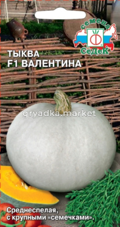 Тыква Валентина F1 1г Ср (Седек)