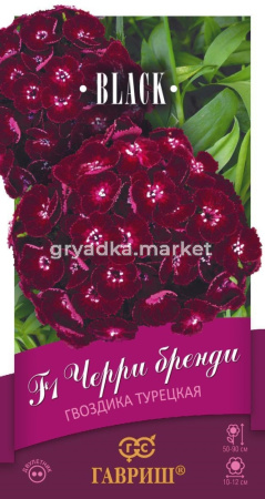 Гвоздика Черри бренди F1 турецкая 5шт Дв 90см (Гавриш) Блэк