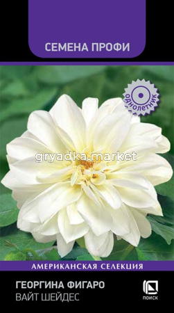 Георгина Фигаро Вайт Шейдес 10шт Одн 35см (Поиск) Семена Профи
