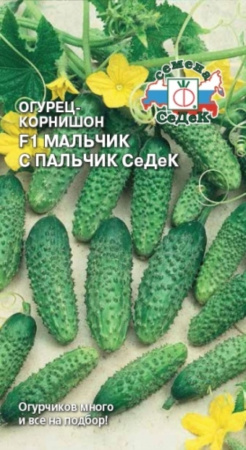 Огурец Мальчик-с-пальчик Седек F1 0,2г. (Седек) Огурец Мальчик-с-пальчик Седек F1 0,2г. (Седек)