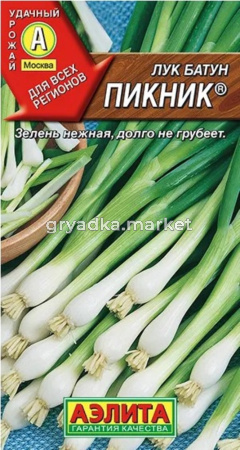 Лук батун Пикник 0,5г Ср (Аэлита)