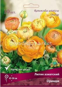 Лютик азиатский Ориндж 10шт (45-50 см, цветки полумахровые оранжевые, 7-8)