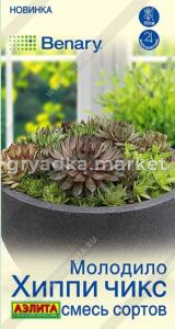 Молодило Хиппи чикс 5шт Мн смесь 10см (Аэлита) 