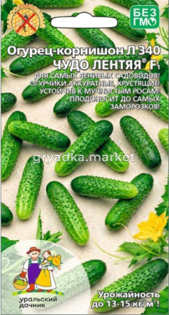 Скриншот 17-07-2026 155337