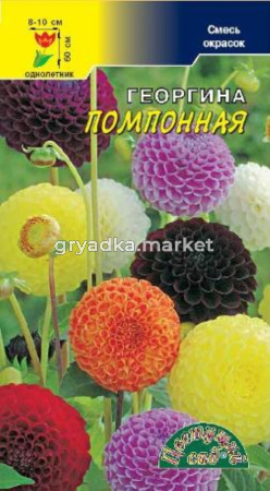 Георгина Помпонная смесь Цвет.сад.