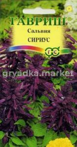 Сальвия Сириус карлик 5шт Гавриш
