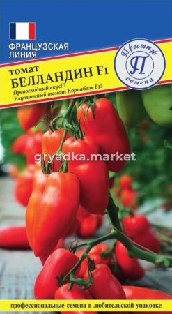 Скриншот 28-07-2026 114754