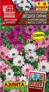 Остеоспермум Звездное сияние карликовый 10шт смесь Одн 25см (Аэлита)