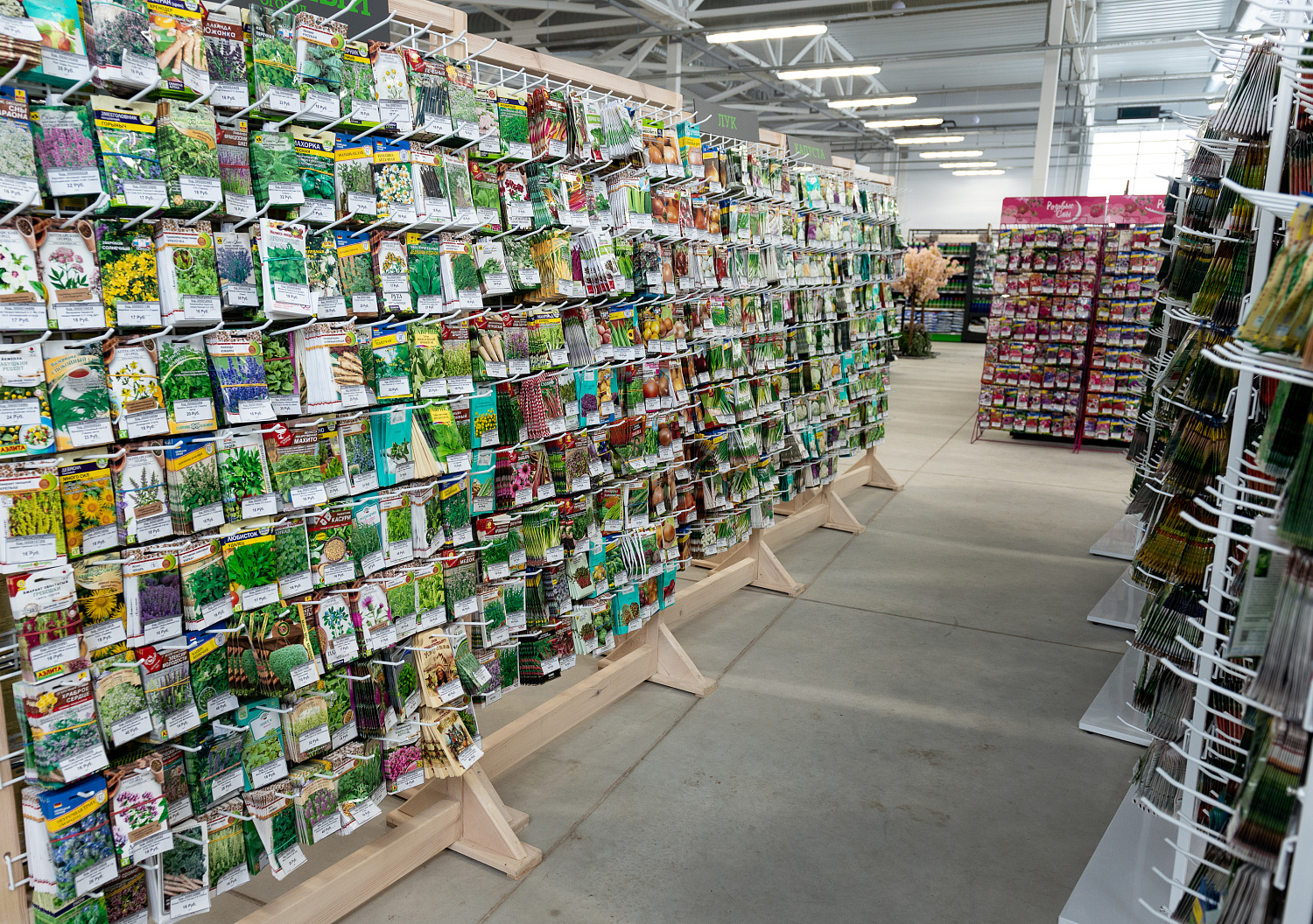 Как не обжечься при выборе семян?