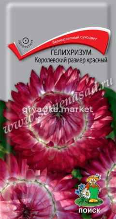 Гелихризум Королевский размер красный (ЦВ) (