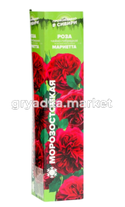 Скриншот 27-03-2025 141207-Photoroom