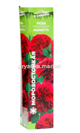 Скриншот 27-03-2025 141207-Photoroom