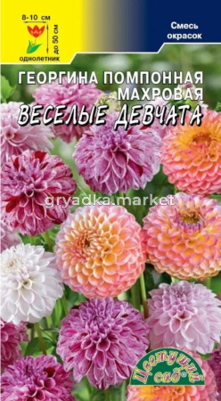 Георгина Веселые Девчата 0.2г Одн смесь 50см (Цвет сад)