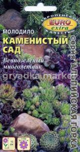 Молодило Каменистый сад, смесь Аэлита (д-цв.ковров)