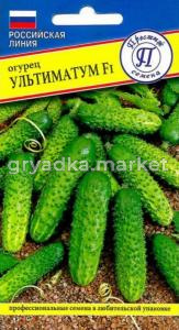 Скриншот 29-10-2024 095934