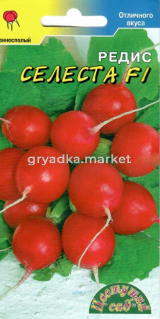 Редис Селеста Цвет сад