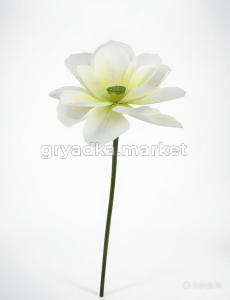 diting_result_1ff54459a9d511f1bc4112b3f6efdfff_1