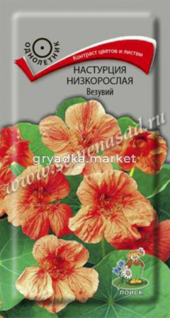 Настурция низкорослая Везувий (ЦВ) (
