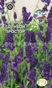 Лаванда Голубой Простор (английская) (Седек)