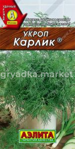 Укроп Карлик (Аэлита)