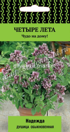 Душица обыкновенная Надежда 20шт (Поиск) Четыре лета