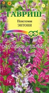 Пенстемон Энтони гибридный 0,1г Одн 50см (Гавриш)