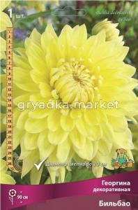 Георгина Бильбао 1шт