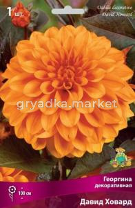 Георгина Давид Ховард 1шт.