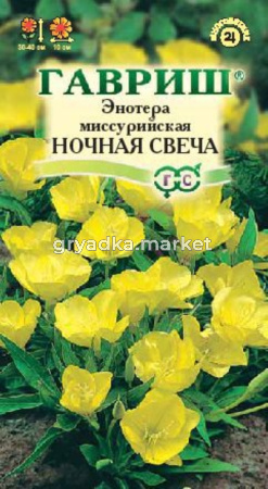 Энотера Ночная свеча миссурийская 0,2г Гавриш
