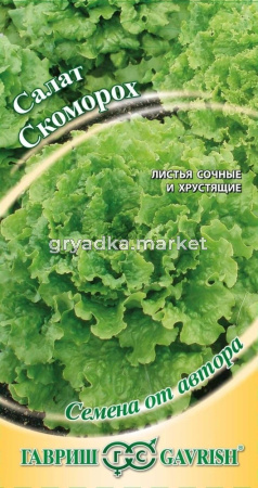 Салат Скоморох 1,0 г автор.селекция Гавриш