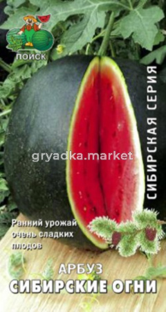Арбуз Сибирские огни (сиб.серия) (ЦВ) 15шт. Поиск