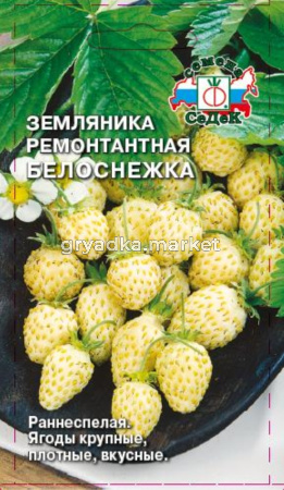 Земляника Белоснежка 0,04г.(Седек)
