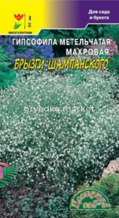 Гипсофила Брызги шампанского  Цвет.сад.