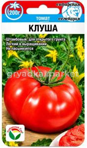 Томат Клуша 20шт Дет Ср (Сиб сад)