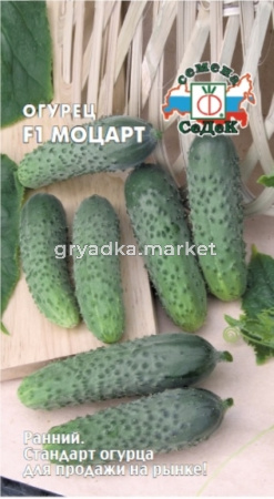 Огурец Моцарт F1 8шт (Седек)