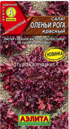 Салат Оленьи рога красный 0,1г Ср (Аэлита)