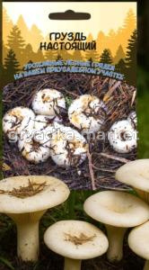 Мицелий Груздь настоящий 30мл (ССПК) Б/Ф